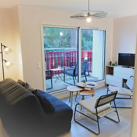 Moderne 3* Avec Balcon, Proche Du Et Plage, Parking Privatif, Wi-fi Inclus - Fr-1-239-862